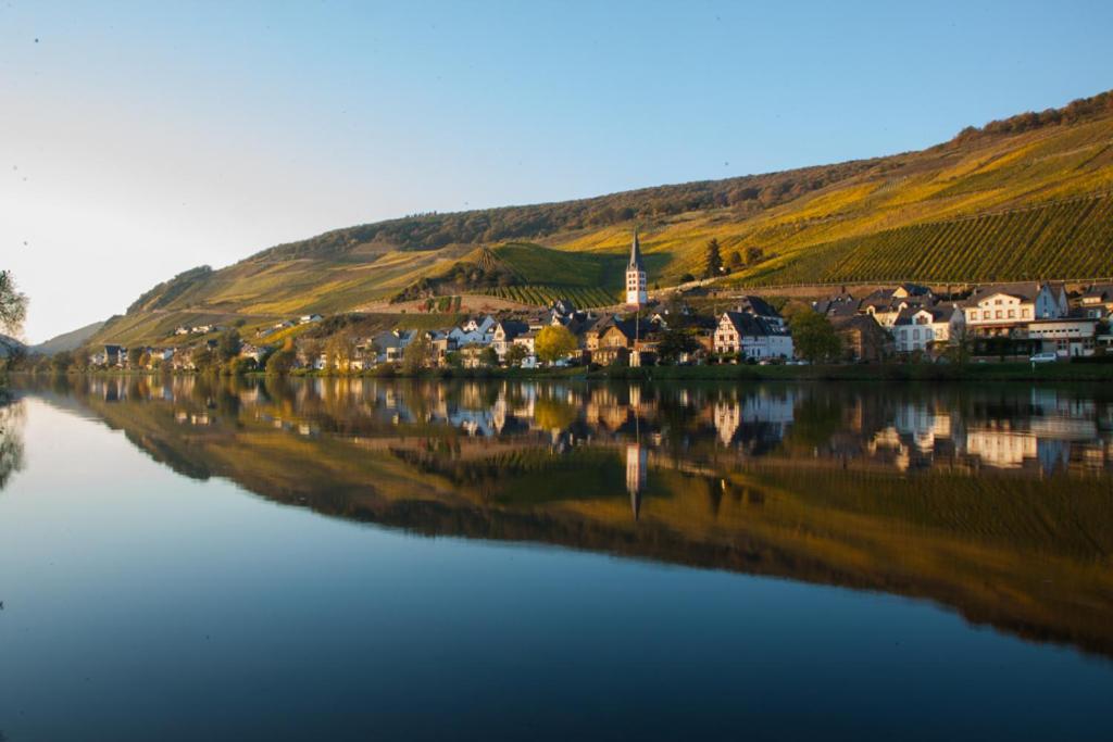Das Haus In Spay An Der Mosel Mit Sauna Zell Exterior foto