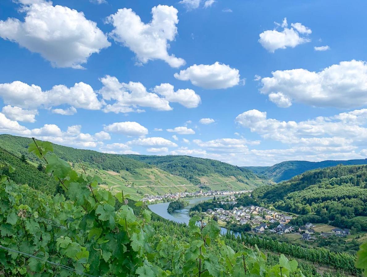 Das Haus In Spay An Der Mosel Mit Sauna Zell Exterior foto
